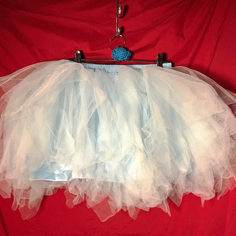 Never Worn Blue Tutu.